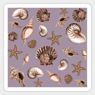 Seashells on mauve Magnet